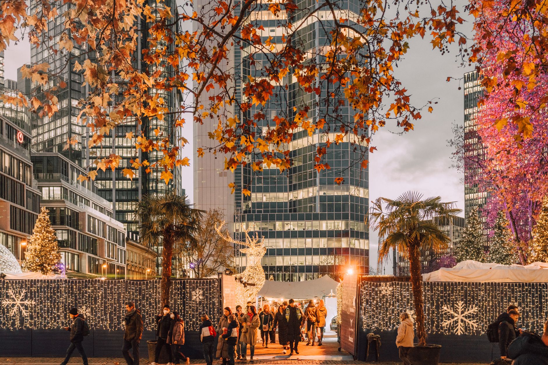 Frankfurter Weihnachtsmarkt: Termine, Stände & Tipps