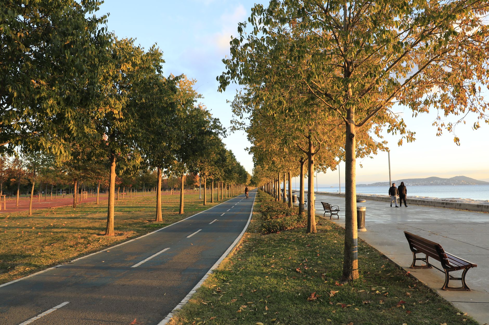 A tree-lined waterside promenade in low evening light, with a marked cycle path running between two rows of trees and a paved walkway with wooden benches beside open water