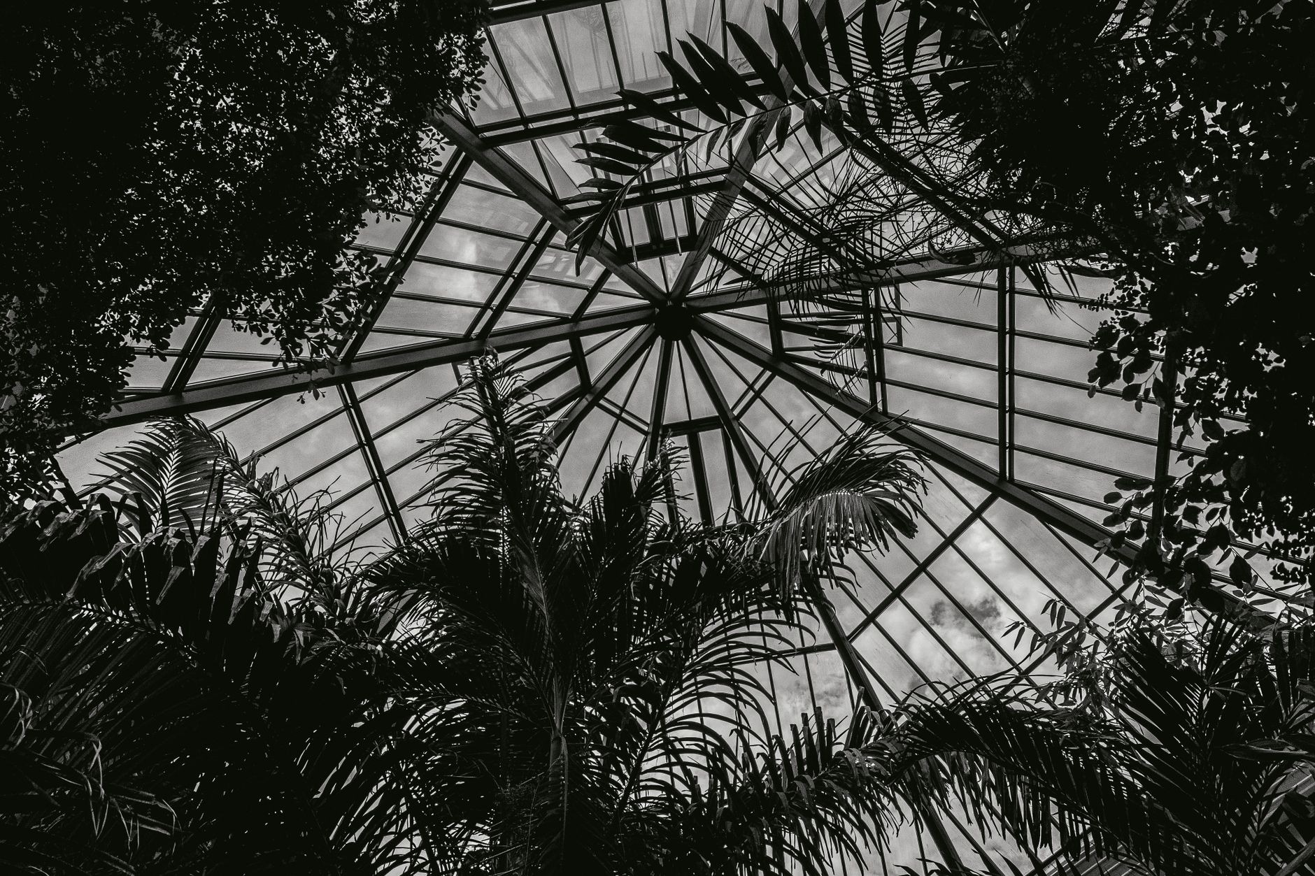 Palmengarten Frankfurt: Tickets, Highlights & Tipps