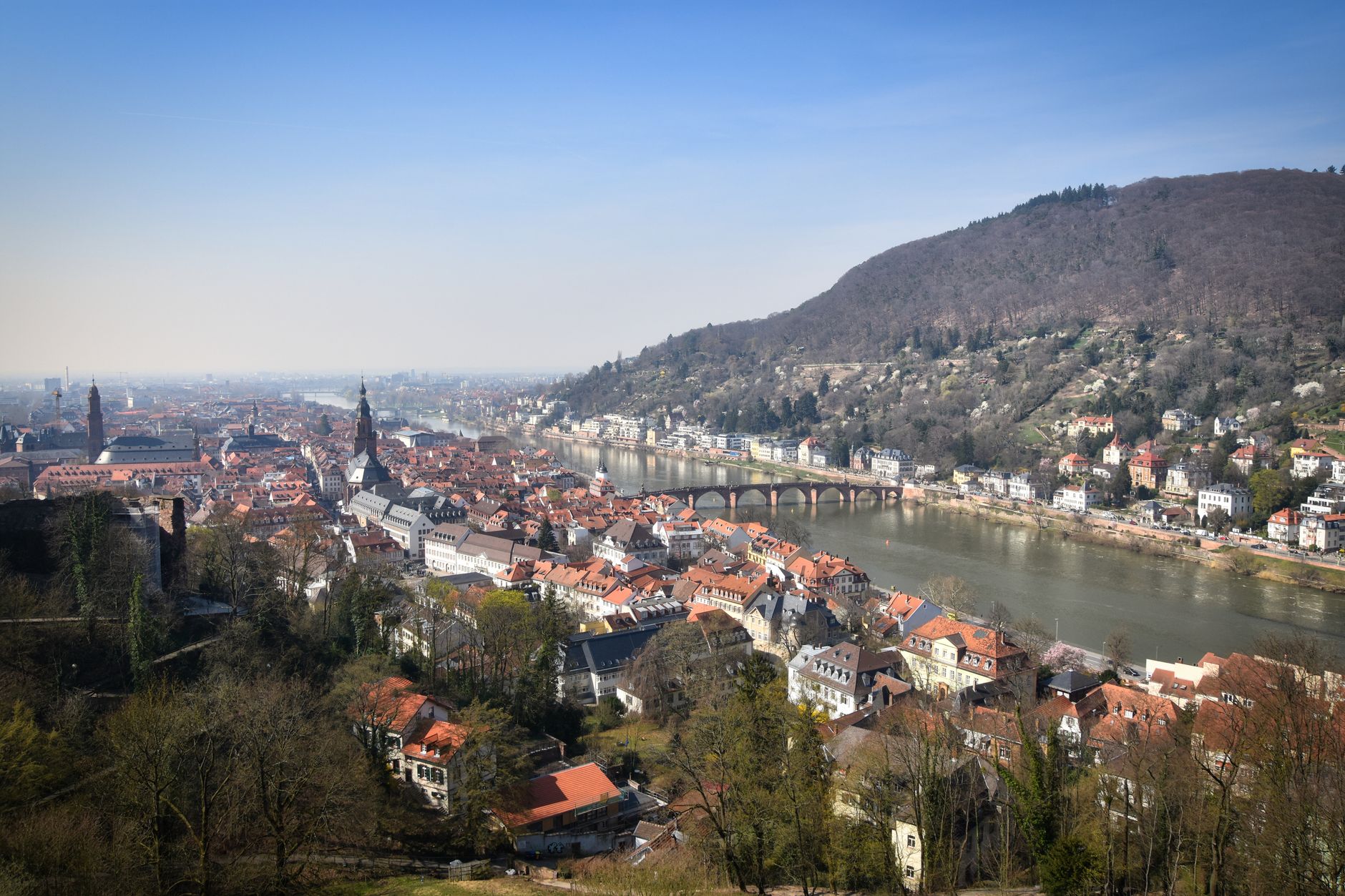 Tagesausflug nach Heidelberg ab Frankfurt: Anreise & Programm