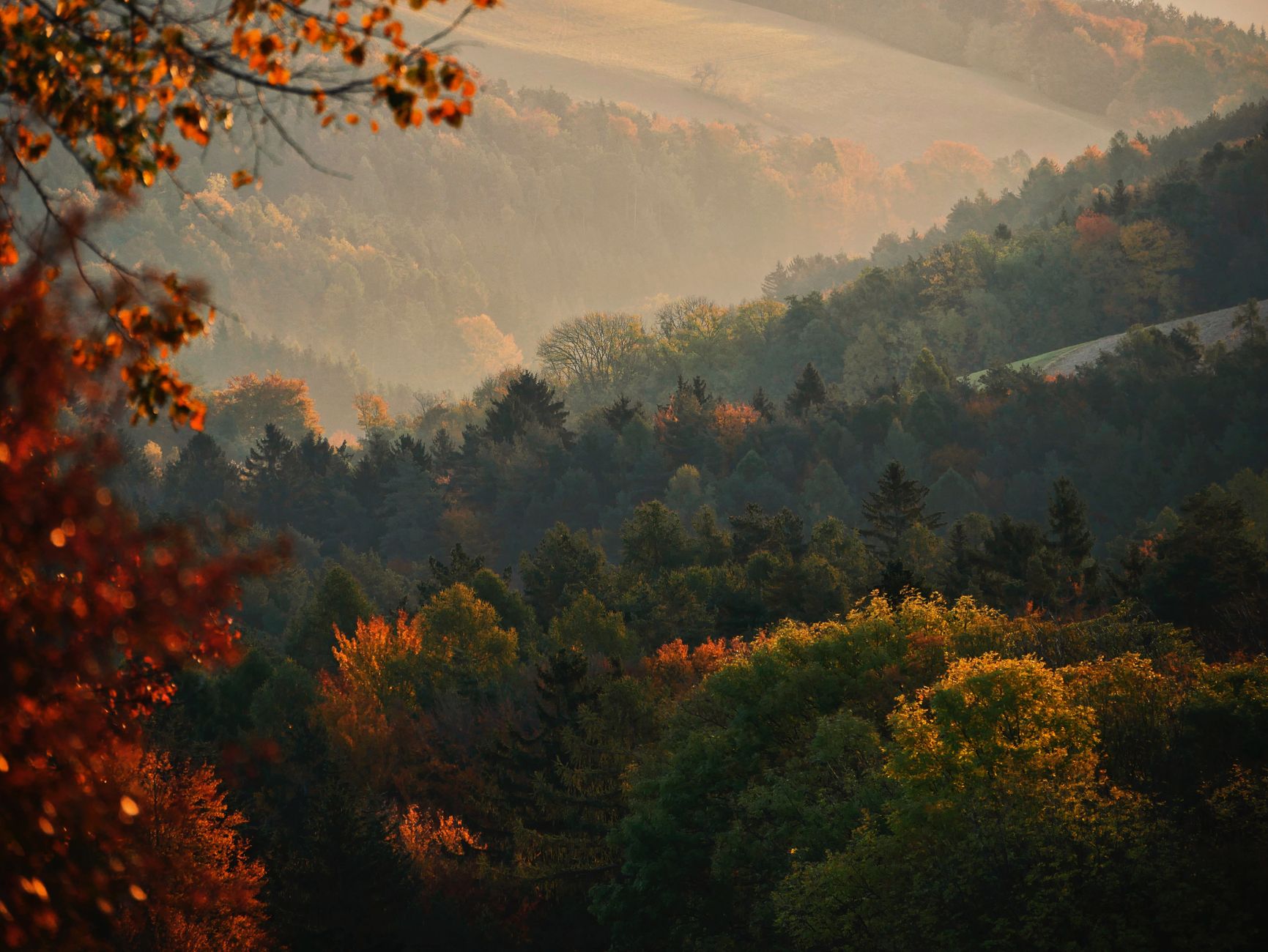 Tagesausflug in den Taunus: Feldberg, Königstein, Bad Homburg